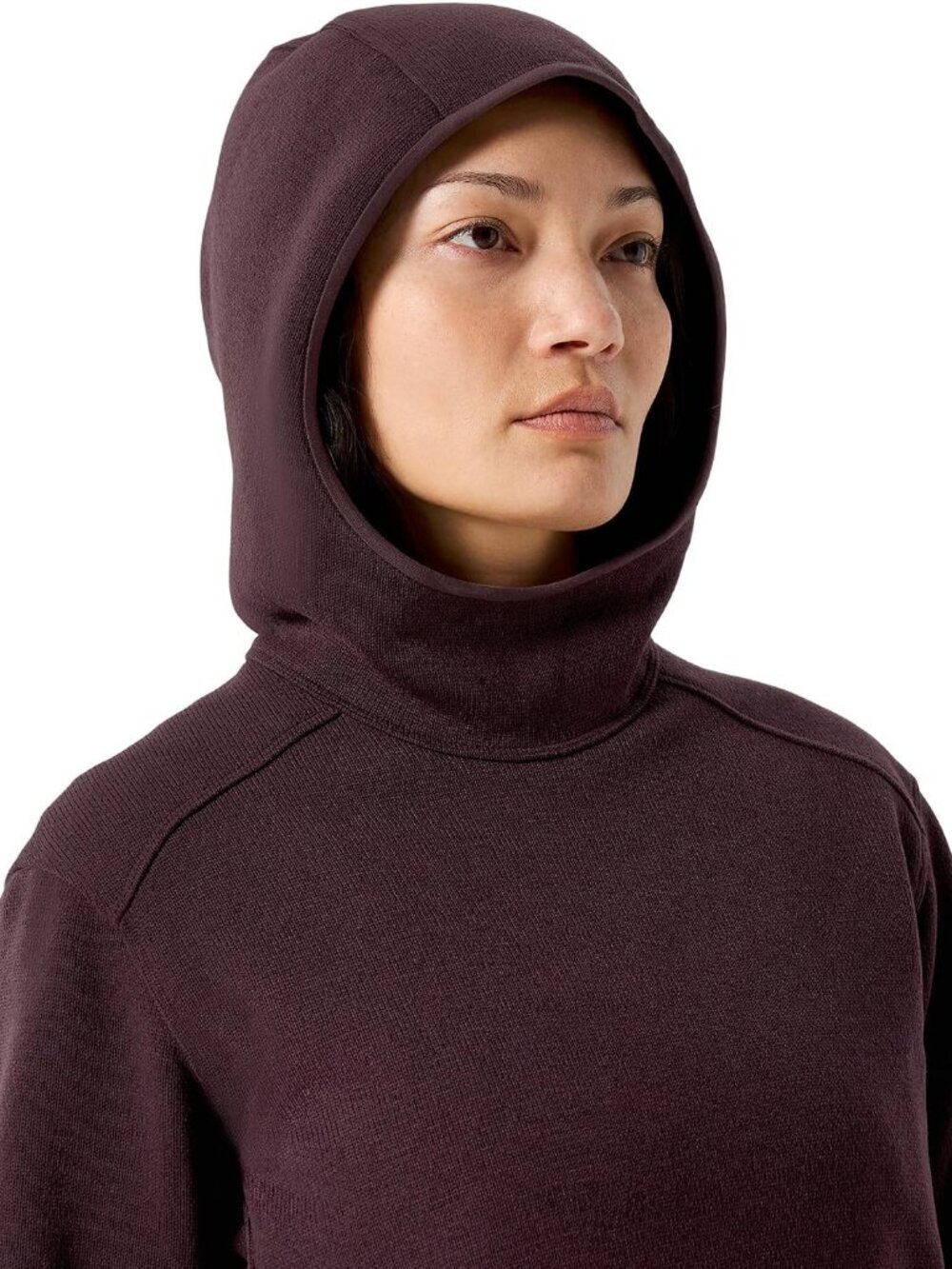 Arc'teryx Covert Pullover Hoody Fleece Lined Phantasm Heather - Picture 6 of 16